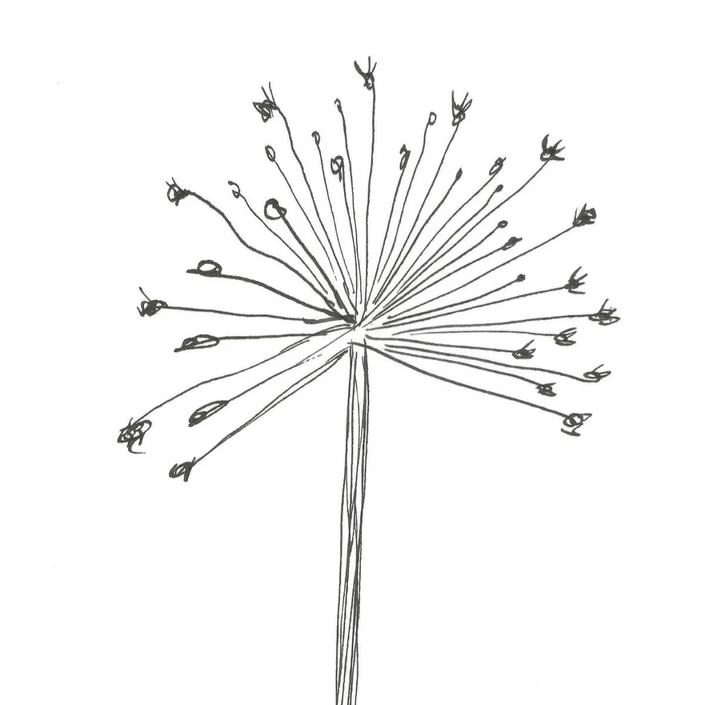 Illustration av Anna Wiksten: vinterståndare.