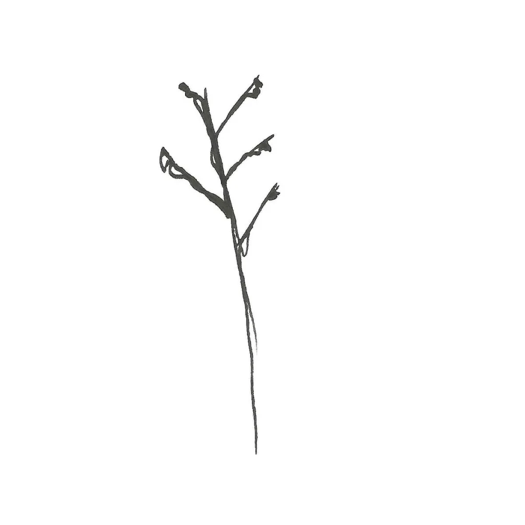 Illustration av Anna Wiksten: vinterståndare.