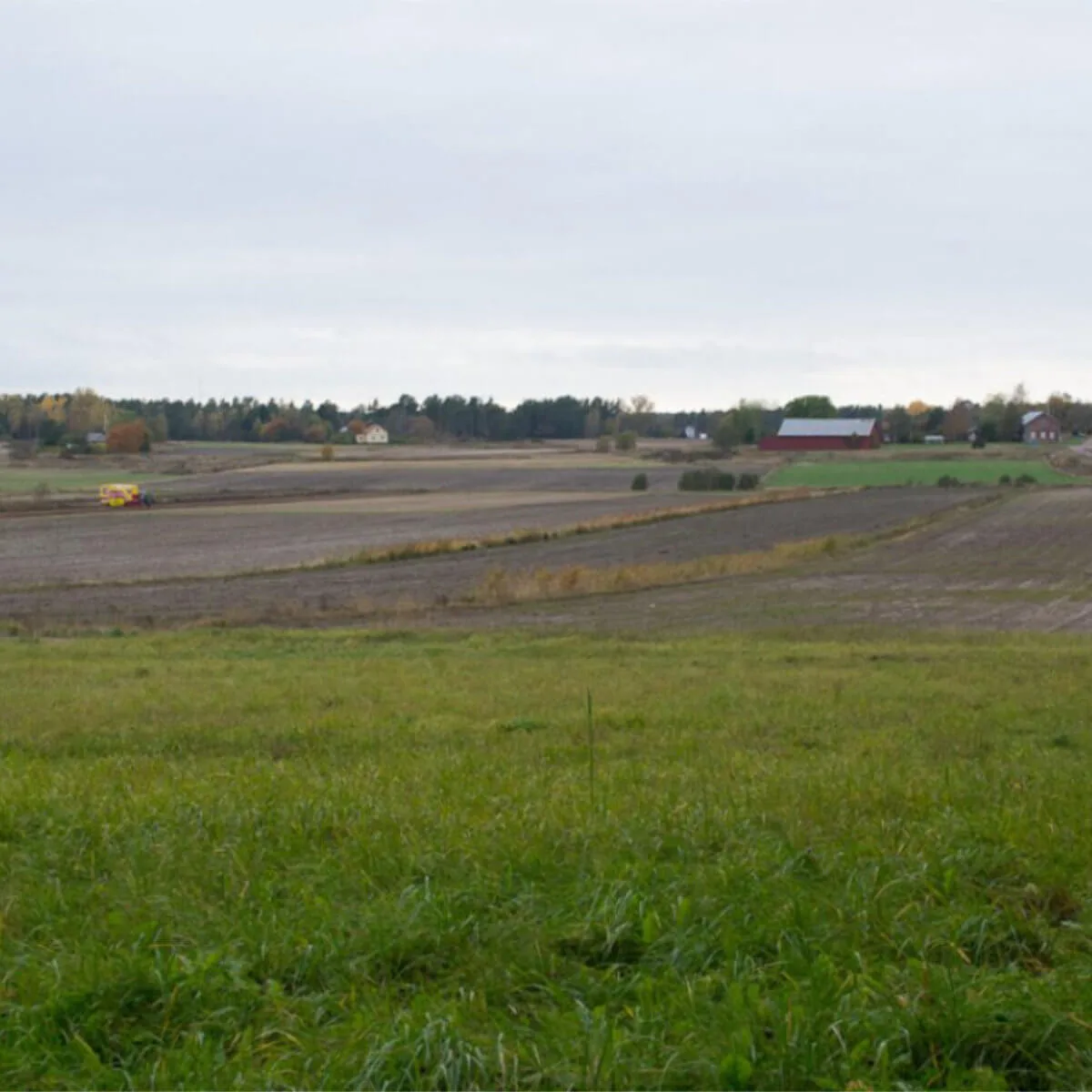 Fotografi av Anna Wiksten: landskapsbild med åkrar.