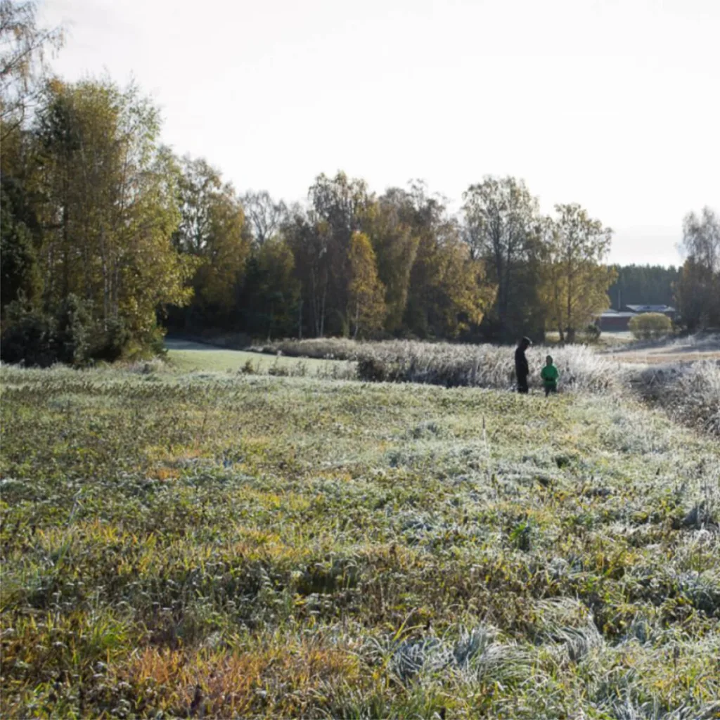 Fotografi av Anna Wiksten: en man och ett barn som står på ett fält.