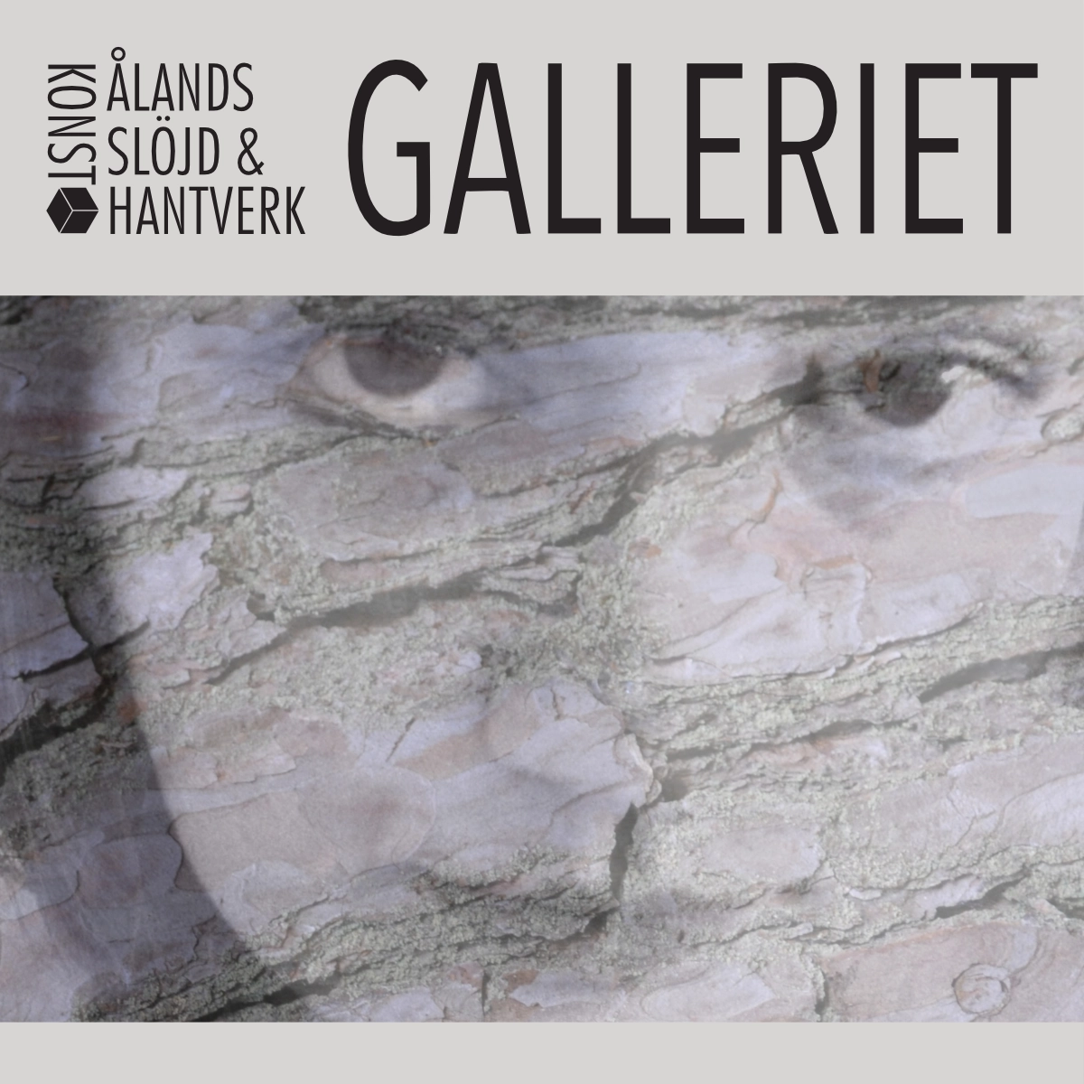 Utställningaffisch för utställning på Galleriet, Behind the Looking Glass av Anna Wiksten.